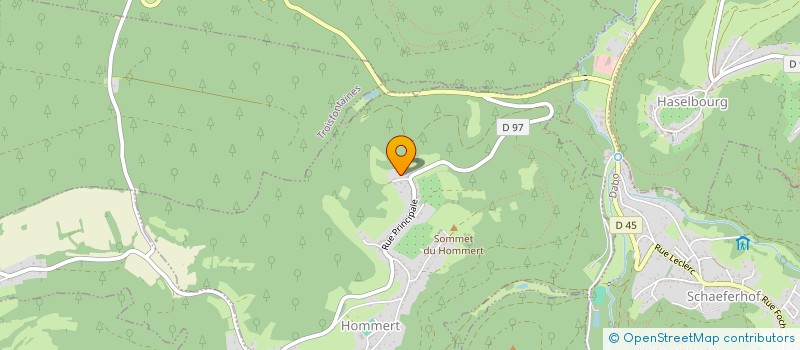 localisation de l'entreprise MONSIEUR THIERRY LINCK  HOMMERT