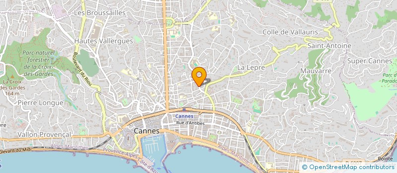localisation de l'entreprise MONSIEUR THIERRY LUX à CANNES