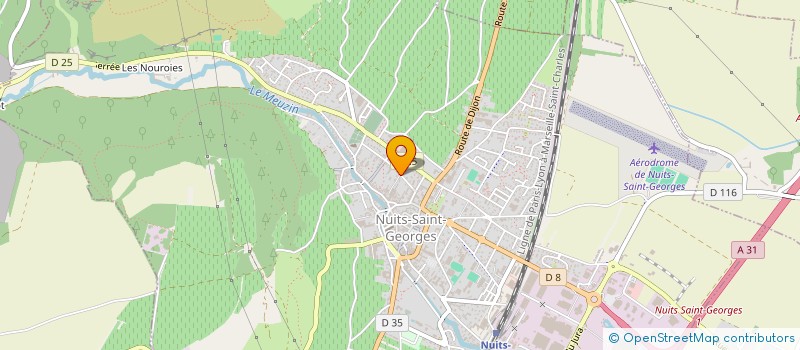 localisation de l'entreprise MONSIEUR THIERRY MARTIN à NUITS-SAINT-GEORGES