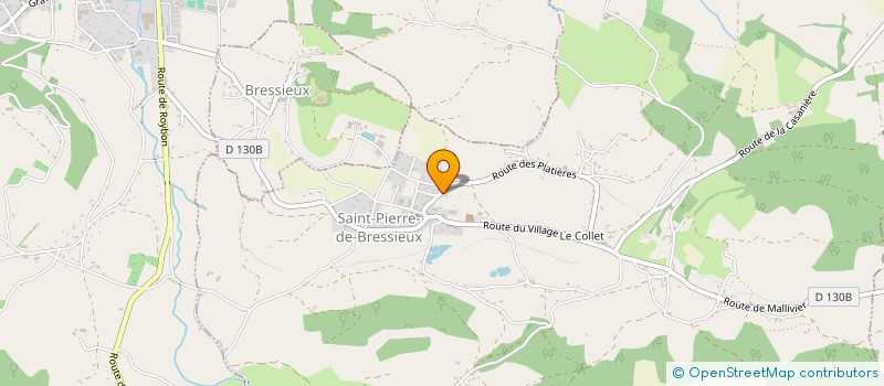 localisation de l'entreprise MONSIEUR THIERRY MEARY à SAINT-PIERRE-DE-BRESSIEUX
