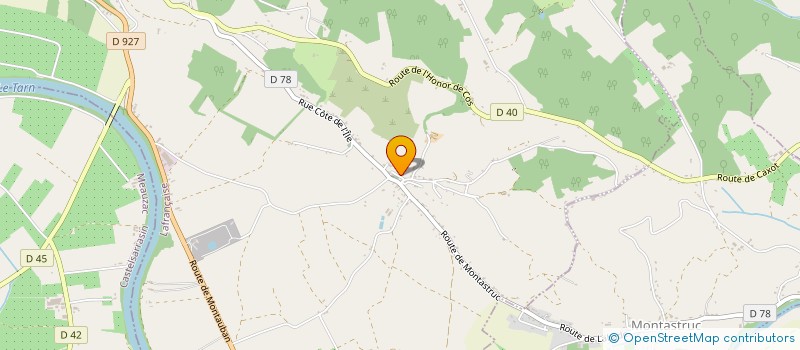 localisation de l'entreprise MONSIEUR THIERRY MONGAY  L HONOR-DE-COS