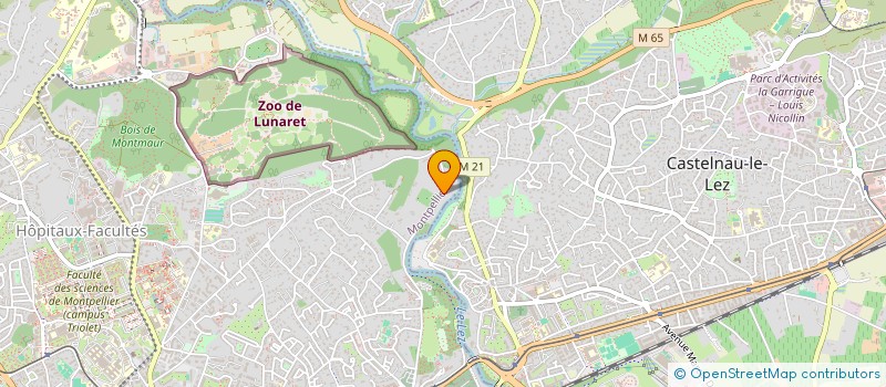 localisation de l'entreprise MONSIEUR THIERRY MORHAIM à MONTPELLIER