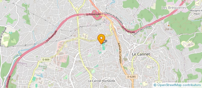 localisation de l'entreprise MONSIEUR THIERRY NATUREL  LE CANNET