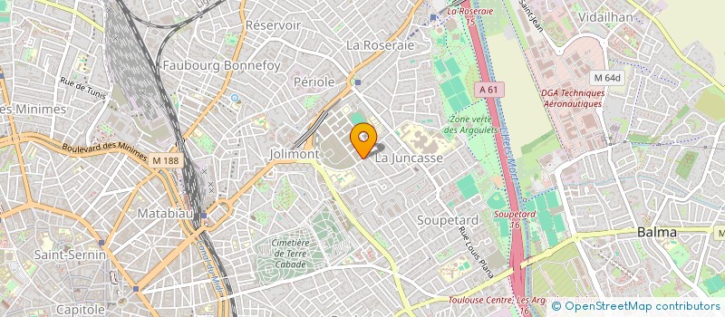 localisation de l'entreprise MONSIEUR THIERRY NICOLAS à TOULOUSE