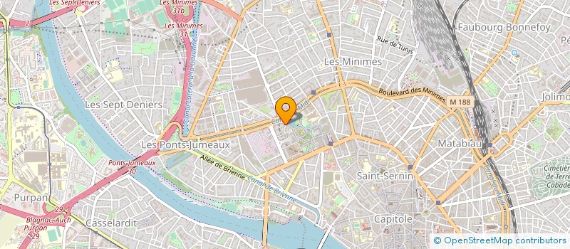 localisation de l'entreprise MONSIEUR THIERRY OLDAK  TOULOUSE