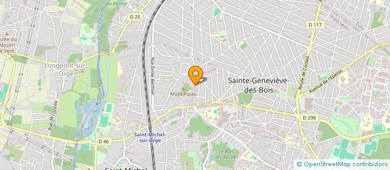 localisation de l'entreprise MONSIEUR THIERRY PETENSI  SAINT-MICHEL-SUR-ORGE