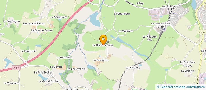 localisation de l'entreprise MONSIEUR THIERRY PINEAU à SAINT-LAURENT-SUR-SEVRE