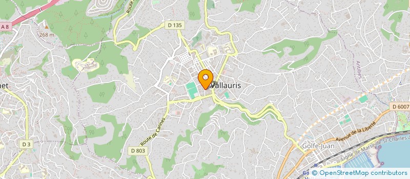 localisation de l'entreprise MONSIEUR THIERRY PLANCKE  MOUGINS