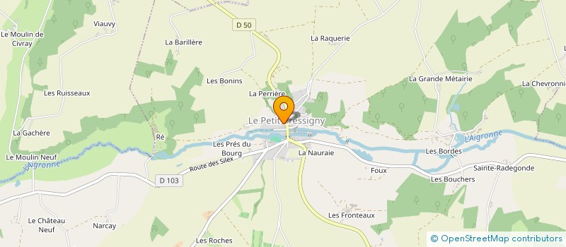 localisation de l'entreprise MONSIEUR THIERRY POUPEAU  LE PETIT-PRESSIGNY