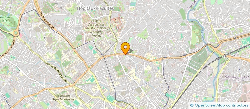 localisation de l'entreprise MONSIEUR THIERRY RAYON à MONTPELLIER