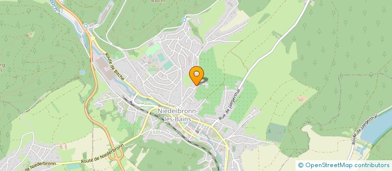 localisation de l'entreprise MONSIEUR THIERRY REBMEISTER  NIEDERBRONN-LES-BAINS