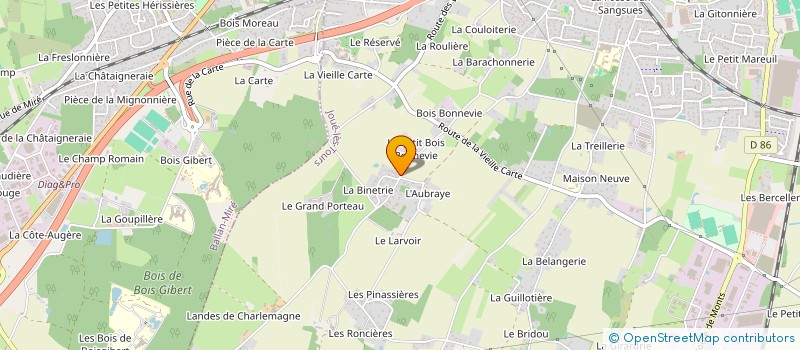 localisation de l'entreprise MONSIEUR THIERRY ROULLEAU  JOUE-LES-TOURS