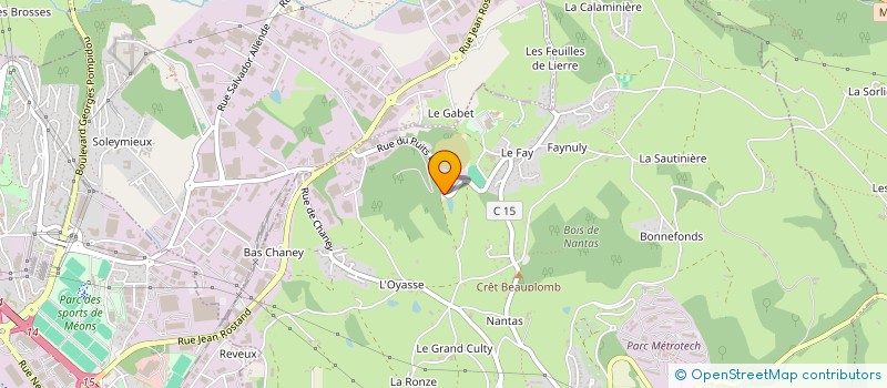 localisation de l'entreprise MONSIEUR THIERRY SAUVANT  SAINT-ETIENNE