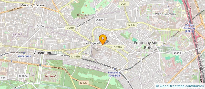localisation de l'entreprise MONSIEUR THIERRY SAVATE à FONTENAY-SOUS-BOIS
