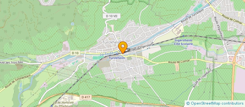 localisation de l'entreprise MONSIEUR THIERRY SCHOENENWALD-ELERT à TURCKHEIM