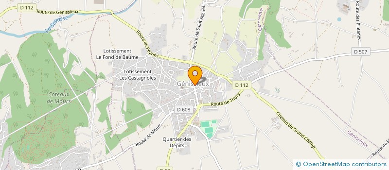 localisation de l'entreprise MONSIEUR THIERRY TEIGNE  GENISSIEUX