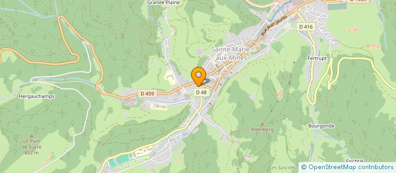 localisation de l'entreprise MONSIEUR THIERRY TERSER  SAINTE-CROIX-AUX-MINES