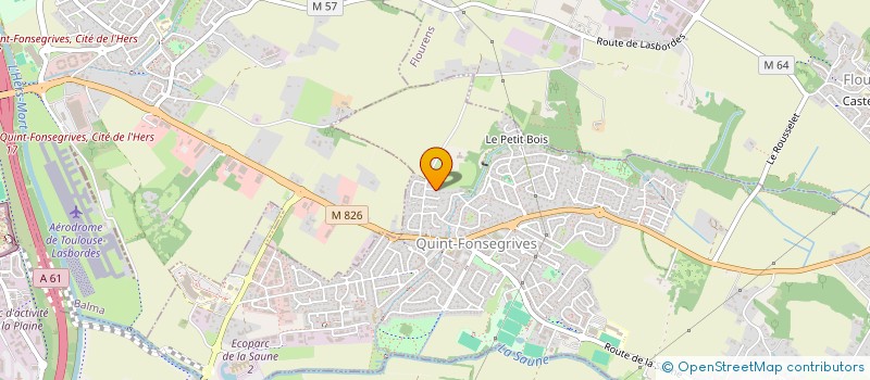 localisation de l'entreprise MONSIEUR THIERRY THOBOIS  QUINT-FONSEGRIVES