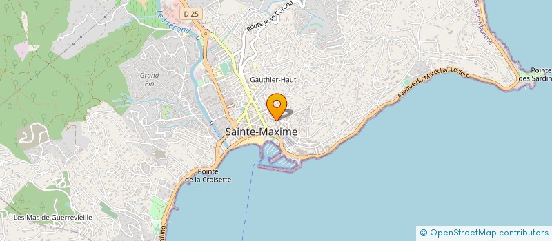 localisation de l'entreprise MONSIEUR THIERRY TORIS à SAINTE-MAXIME