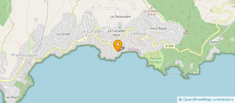 localisation de l'entreprise MONSIEUR THIERRY TRAON à RAYOL-CANADEL-SUR-MER