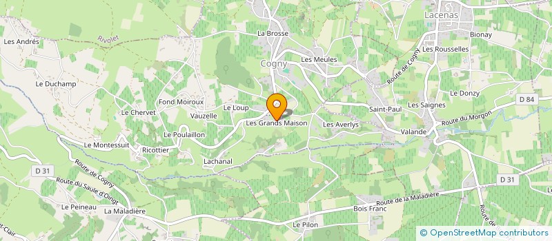 localisation de l'entreprise MONSIEUR THIERRY TRICHARD à SAINT-JULIEN