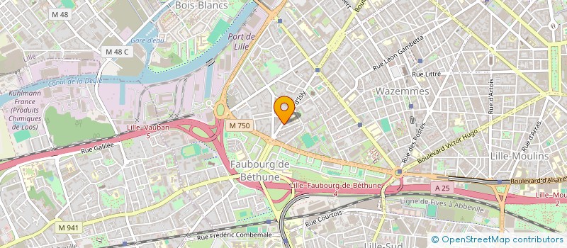 localisation de l'entreprise MONSIEUR THIERRY VANDERLINDEN  LILLE