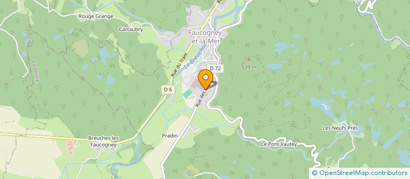 localisation de l'entreprise MONSIEUR THIERRY VAUTHRIN  FAUCOGNEY-ET-LA-MER