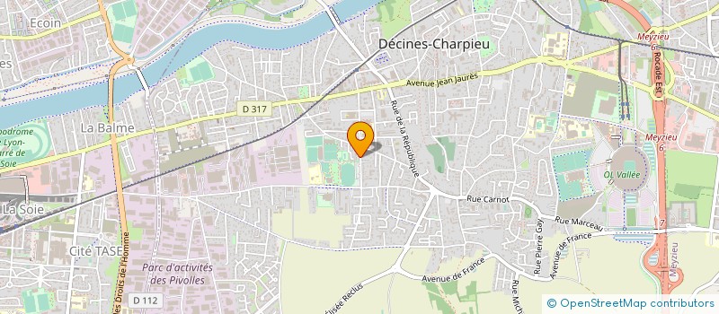 localisation de l'entreprise MONSIEUR THIERRY VENA  DECINES-CHARPIEU