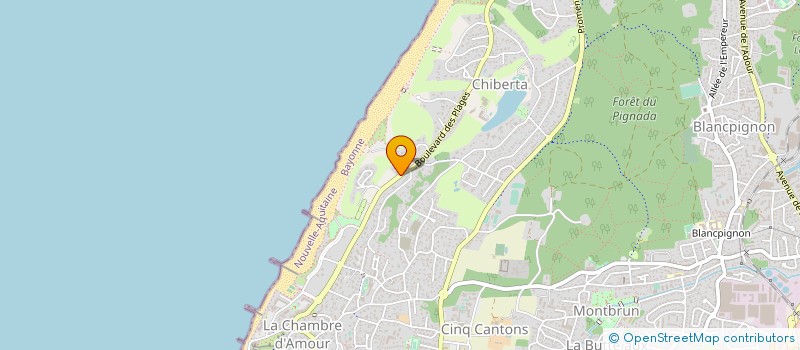 localisation de l'entreprise MONSIEUR THIERRY VIDAL  ANGLET