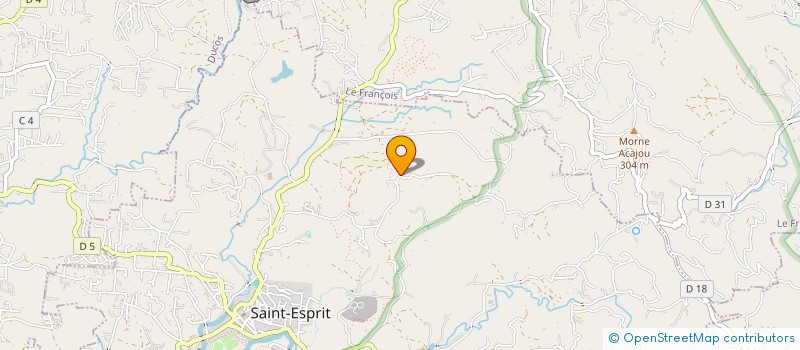 localisation de l'entreprise MONSIEUR THIERRY VILLAGE  SAINT-ESPRIT