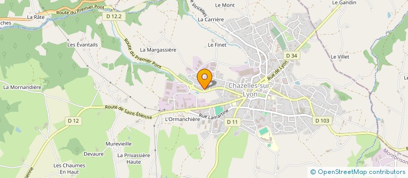 localisation de l'entreprise MONSIEUR THIERRY VILLARD  CHAZELLES SUR LYON