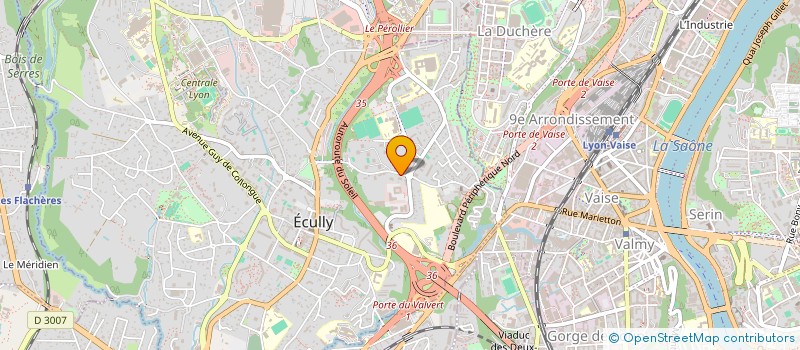 localisation de l'entreprise MONSIEUR THIERRY VINCENT  ECULLY