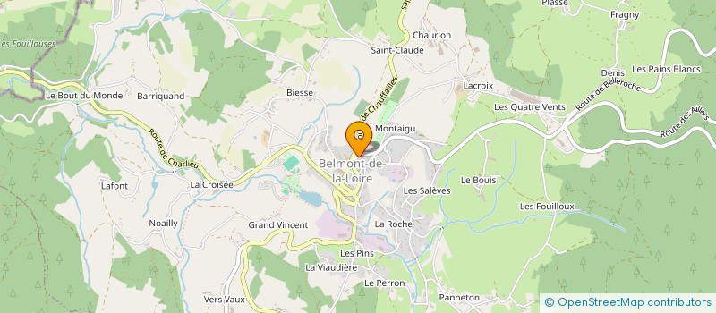 localisation de l'entreprise MONSIEUR THIERRY VOLLE  BELMONT-DE-LA-LOIRE