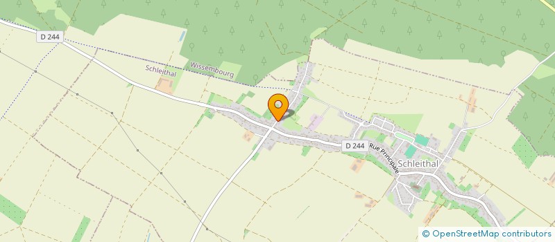 localisation de l'entreprise MONSIEUR THIERRY WAGNER  SCHLEITHAL