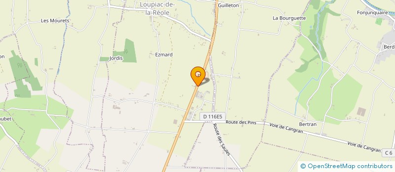 localisation de l'entreprise MONSIEUR THIERRY WOLF  LOUPIAC-DE-LA-REOLE