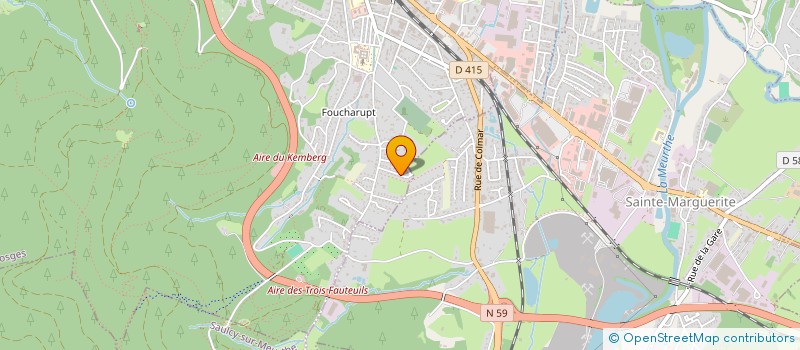 localisation de l'entreprise MONSIEUR THIERRY ZINGRAFF  SAINT-DIE-DES-VOSGES