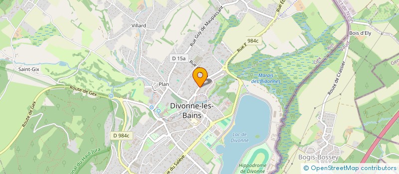 localisation de l'entreprise MONSIEUR THOMAS ALECCI  DIVONNE-LES-BAINS