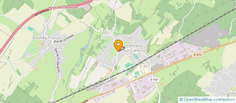 localisation de l'entreprise MONSIEUR THOMAS ALVES COUTINHO  DANNEMARIE-SUR-CRETE