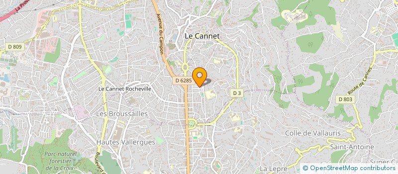 localisation de l'entreprise MONSIEUR THOMAS ANDRE PHELLION à LE CANNET