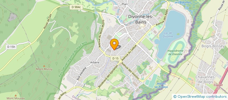 localisation de l'entreprise MONSIEUR THOMAS BENSOUSSAN à DIVONNE-LES-BAINS