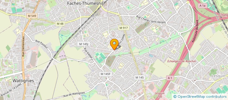 localisation de l'entreprise MONSIEUR THOMAS BERGER  FACHES-THUMESNIL