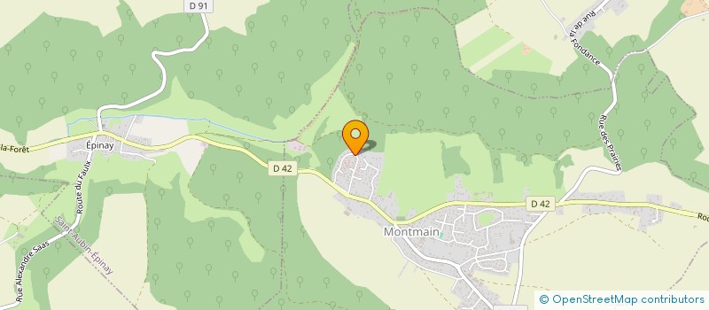 localisation de l'entreprise MONSIEUR THOMAS BERTONCINI  MONTMAIN