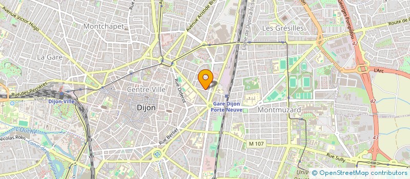 localisation de l'entreprise MONSIEUR THOMAS BORELL à DIJON