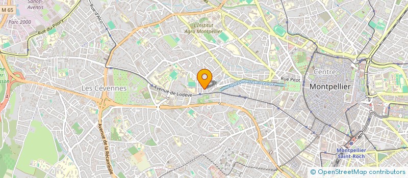 localisation de l'entreprise MONSIEUR THOMAS BORGNIET à MONTPELLIER