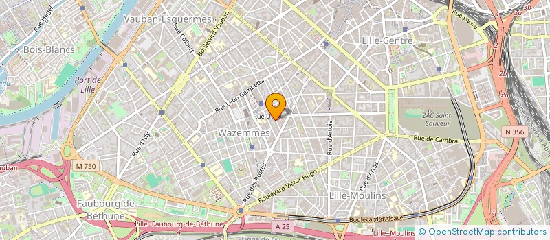 localisation de l'entreprise MONSIEUR THOMAS BOULINGUEZ à LILLE