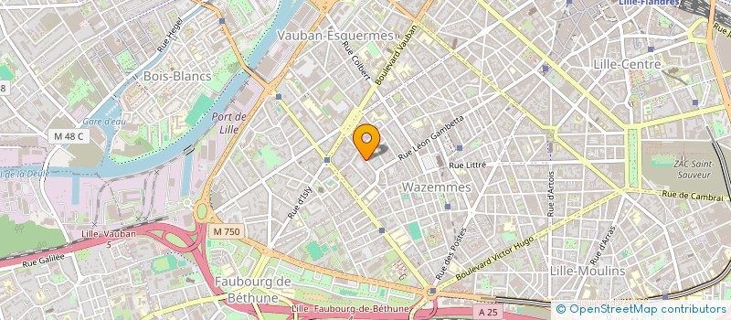 localisation de l'entreprise MONSIEUR THOMAS BOURCE à LILLE
