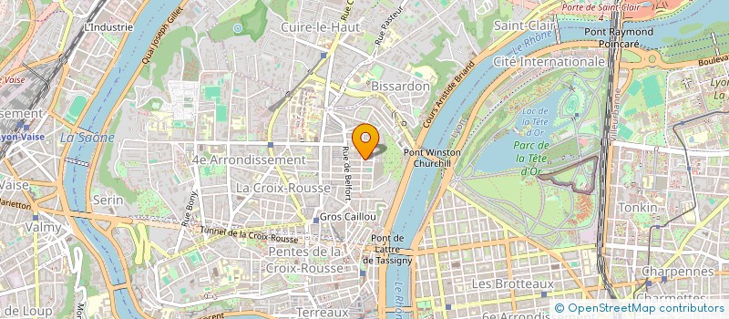 localisation de l'entreprise MONSIEUR THOMAS BOUSSAID  LYON