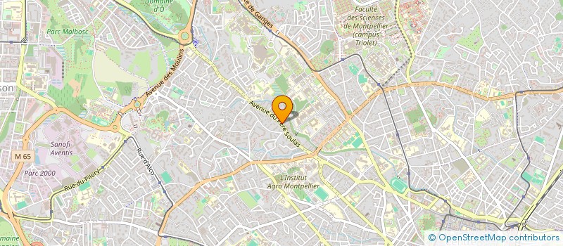 localisation de l'entreprise MONSIEUR THOMAS BRAIDA à MONTPELLIER