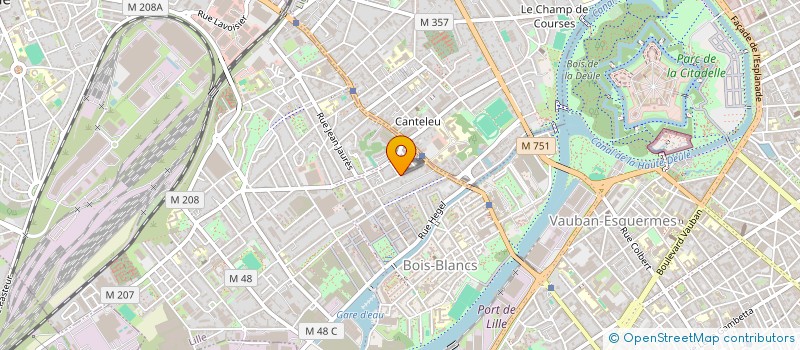 localisation de l'entreprise MONSIEUR THOMAS BUISINE  LILLE