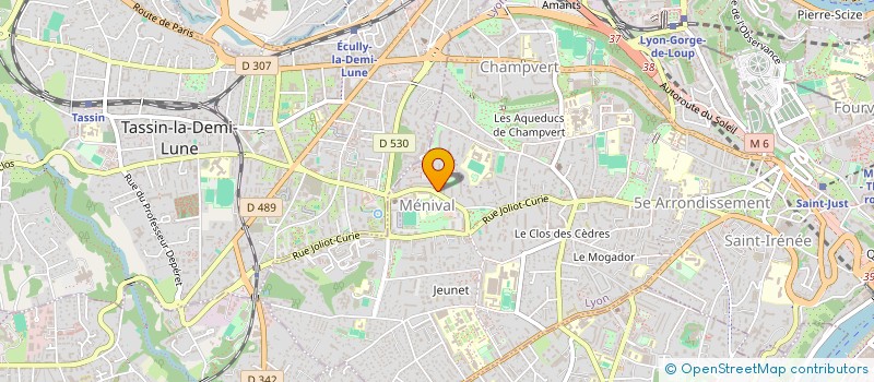 localisation de l'entreprise MONSIEUR THOMAS CARDOSO à LYON